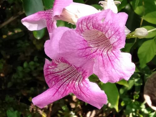 生活洞见@你认真的样子，我真的很在意