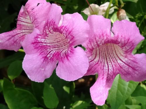 生活洞见@你认真的样子，我真的很在意