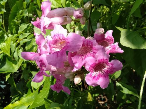 生活洞见@你认真的样子，我真的很在意