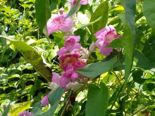 生活洞见@你认真的样子，我真的很在意