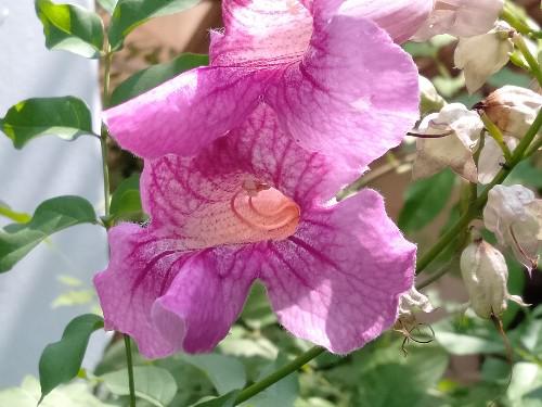 生活洞见@你认真的样子，我真的很在意