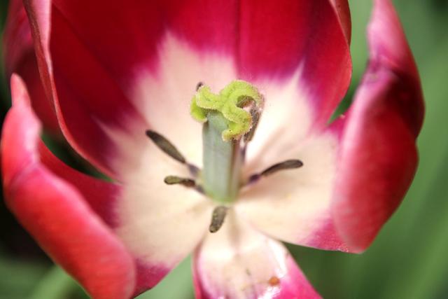 「芨芨草01」三个不同的幸福标准，决定不同的人生态度和奋斗程度，你是哪一层