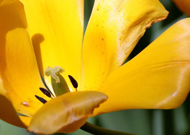 「芨芨草01」三个不同的幸福标准，决定不同的人生态度和奋斗程度，你是哪一层