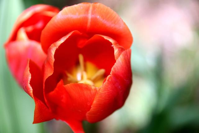 「芨芨草01」三个不同的幸福标准，决定不同的人生态度和奋斗程度，你是哪一层