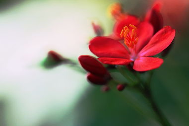 「依鱼」除了时间，什么也不属于你