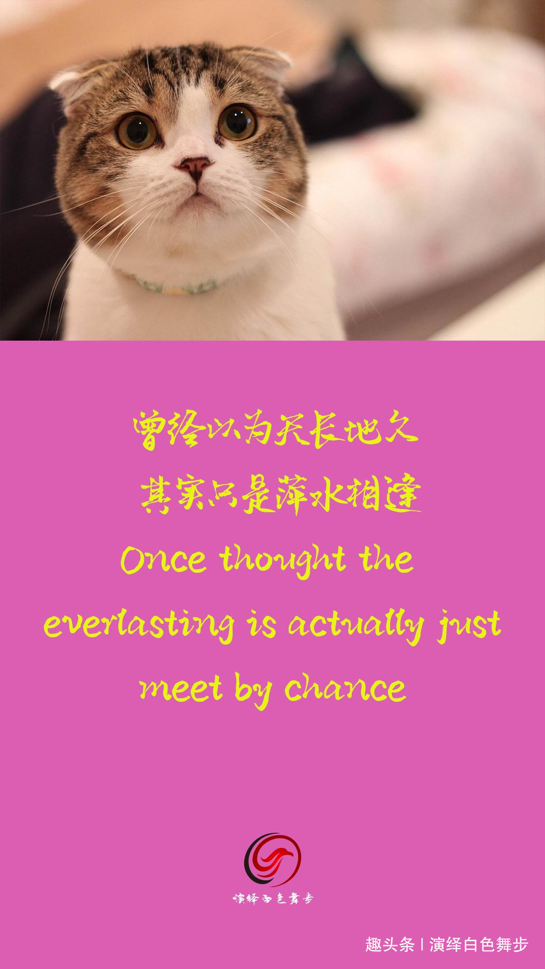 「演绎白色舞步」曾经，在所有不幸中，最不幸的事是曾经幸福过