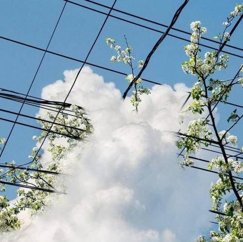 华云头条：网易云扎心热评，我现在可以不痛不痒，云淡风轻，谈笑风生，处惊不变