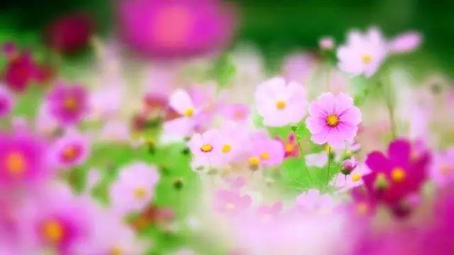 「修心堂TB」什么才是靠谱？