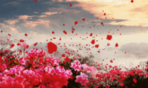 【传统祝福】好心，永远有好报