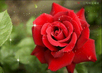 【传统祝福】好心，永远有好报