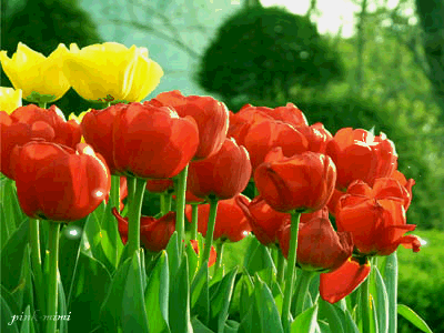 【传统祝福】好心，永远有好报