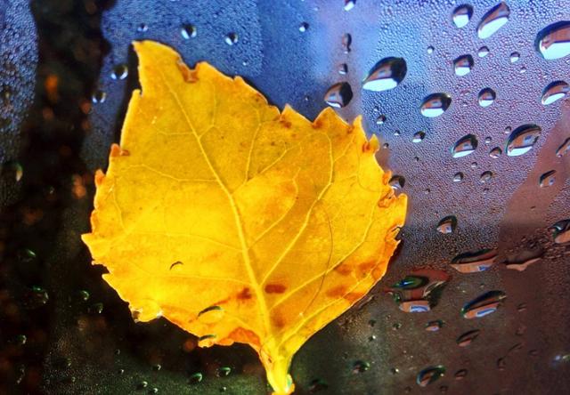 [校园留声机]爱发朋友圈的女人，常发这些信息对自己不好，也会被人嫌弃