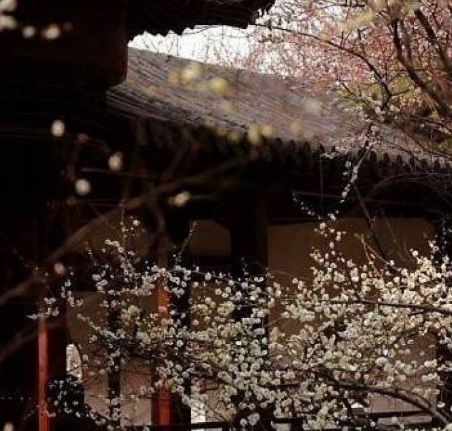 搞笑天晴@那些打动人心的句子（一）