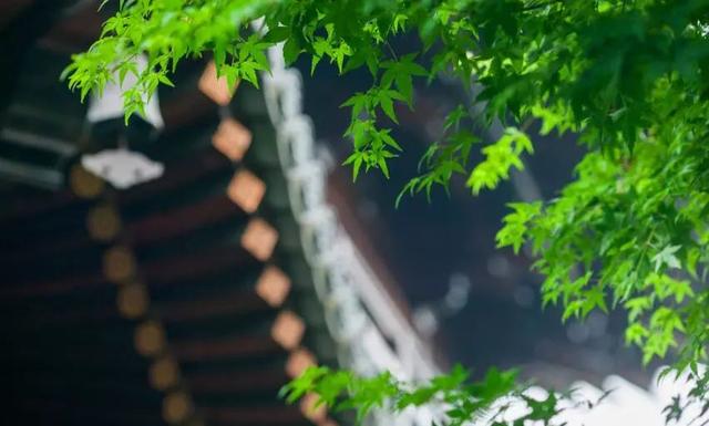 「阅读快乐者」有人喜欢你，其实源于你自己