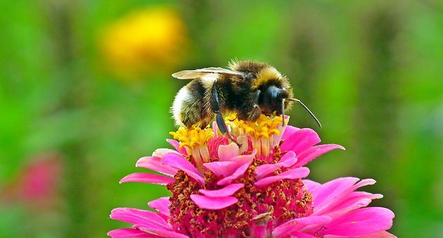 「生活万万千」直戳人心的伤感句子，句句煽情，触动心灵