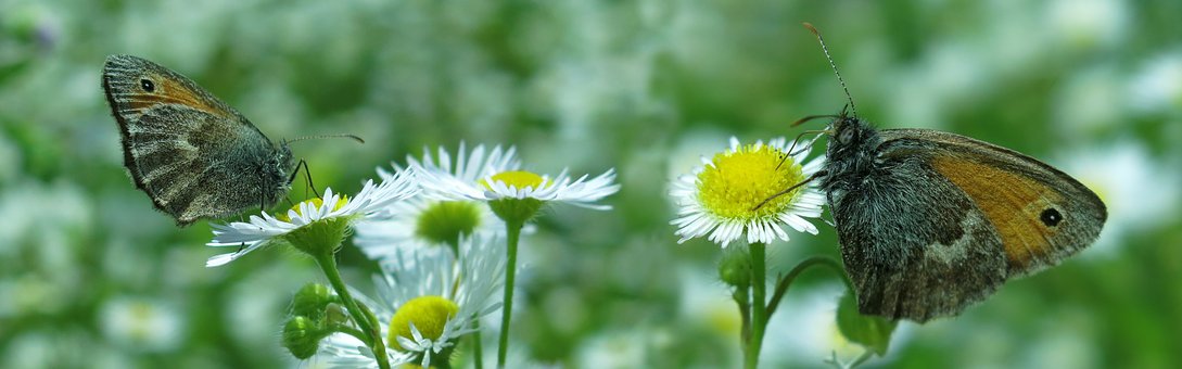 「生活万万千」直戳人心的伤感句子，句句煽情，触动心灵