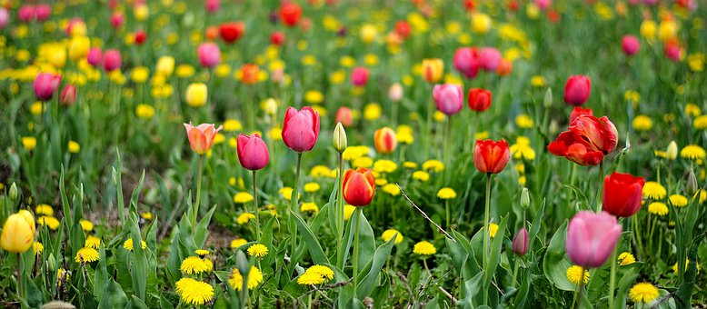 「生活万万千」直戳人心的伤感句子，句句煽情，触动心灵