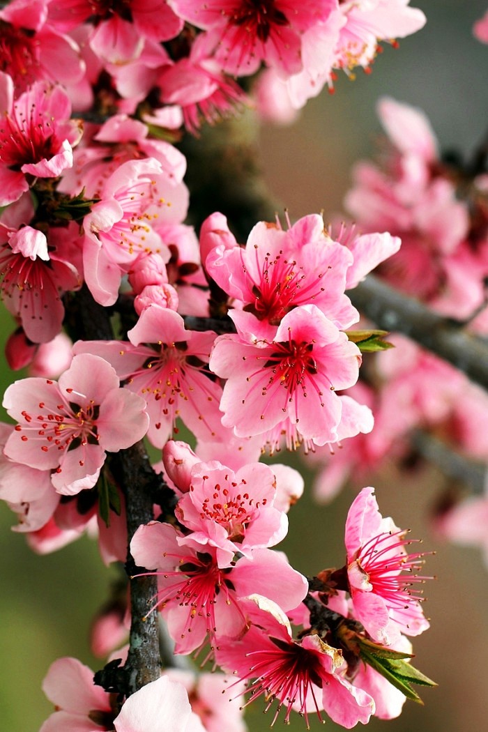 [生活万万千]送给自己的人生感悟，充满正能量，指引人生