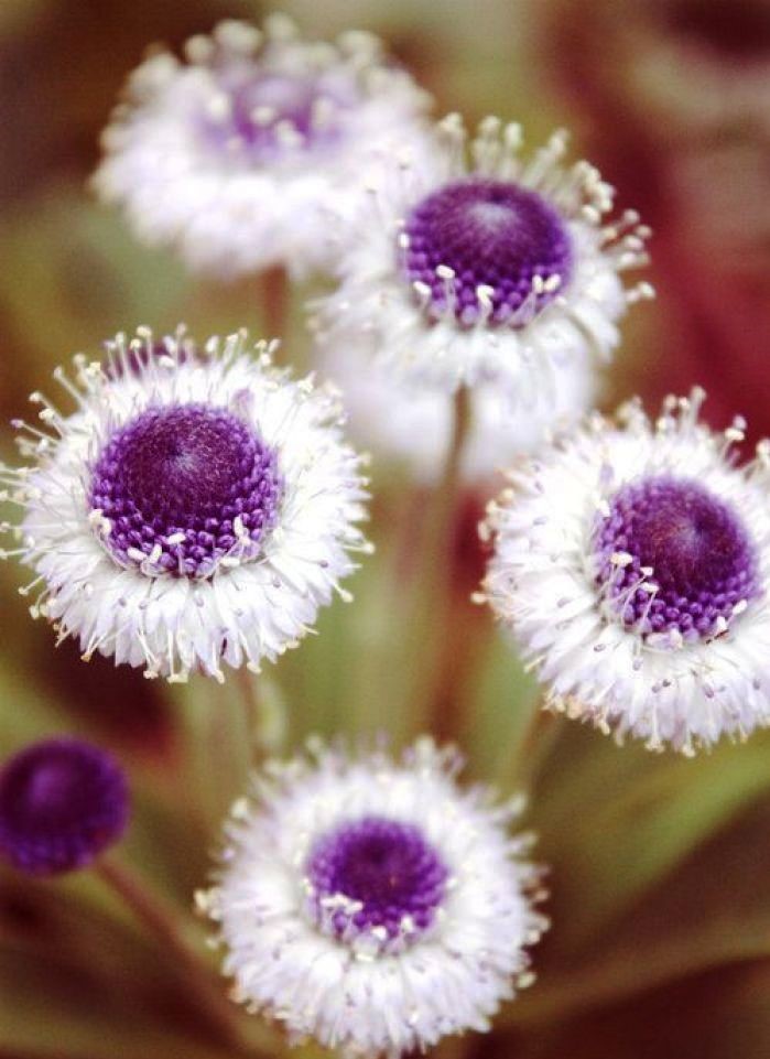 [生活万万千]送给自己的人生感悟，充满正能量，指引人生