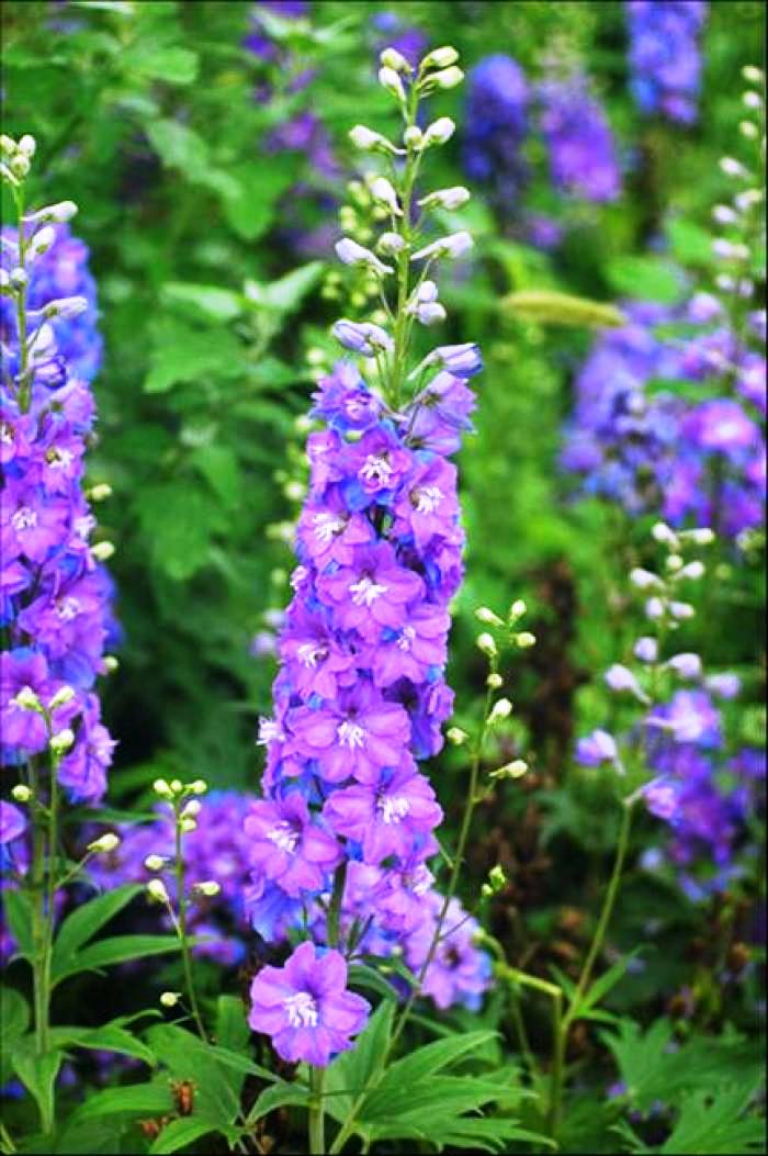 [生活万万千]送给自己的人生感悟，充满正能量，指引人生