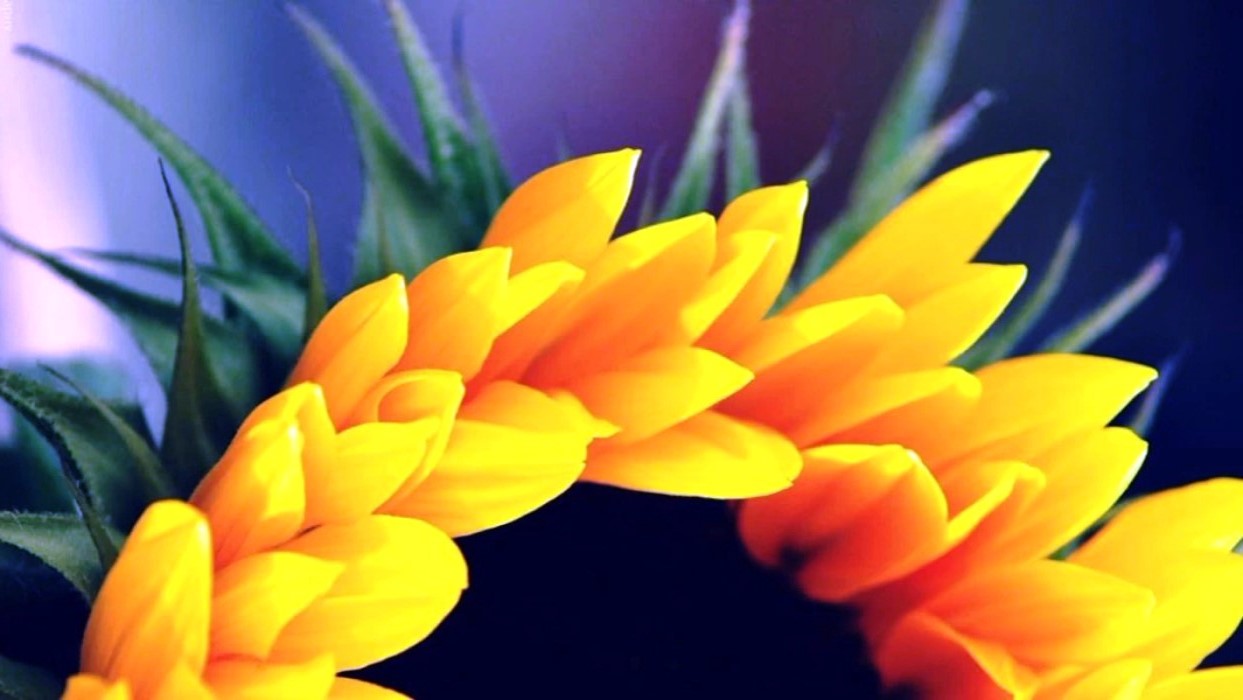 [生活万万千]送给自己的人生感悟，充满正能量，指引人生