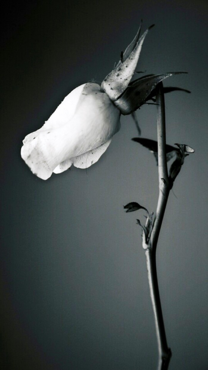 [生活万万千]送给自己的人生感悟，充满正能量，指引人生