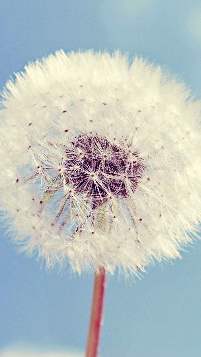 [生活万万千]送给自己的人生感悟，充满正能量，指引人生