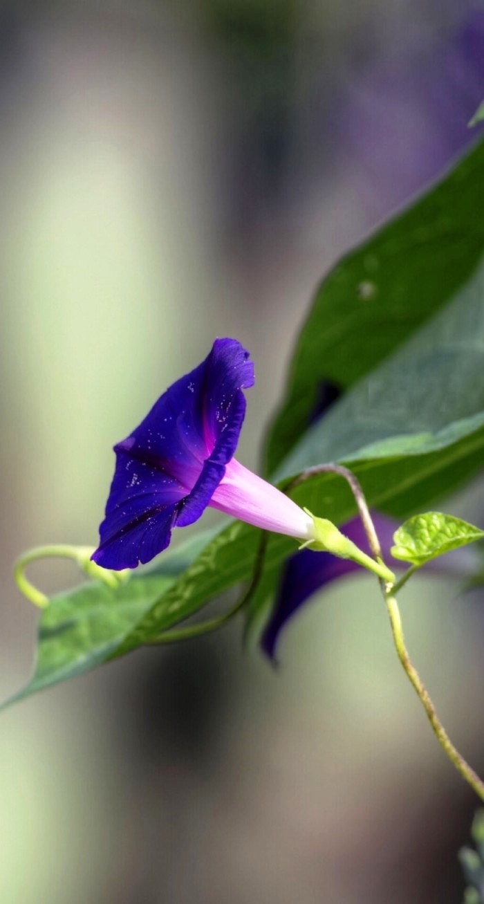 [生活万万千]送给自己的人生感悟，充满正能量，指引人生
