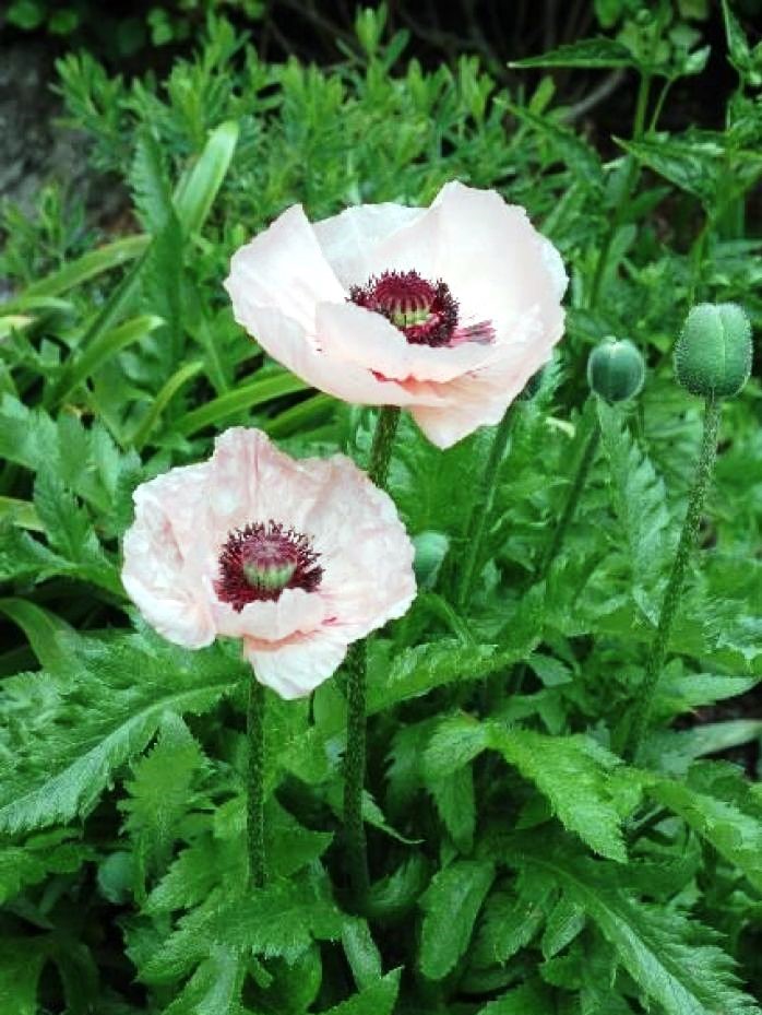 [生活万万千]送给自己的人生感悟，充满正能量，指引人生