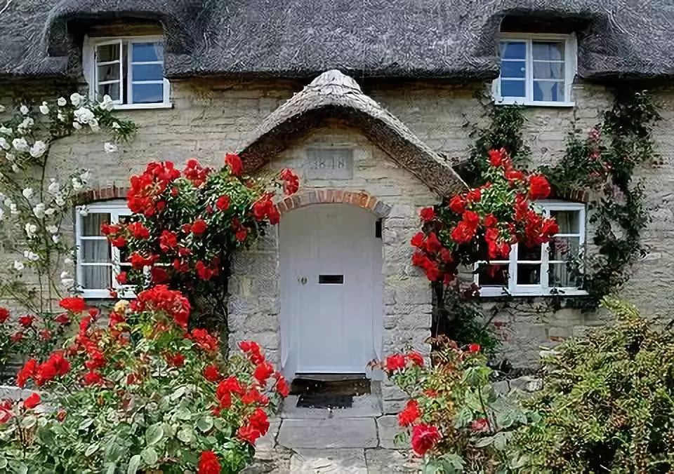 [美文分享]沉默，是一个人最大的哭声。