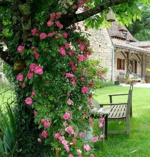 [美文分享]沉默，是一个人最大的哭声。