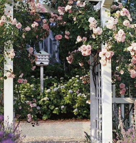 [美文分享]沉默，是一个人最大的哭声。