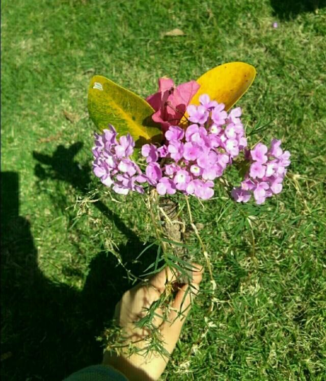 文思泉涌@ 为什么很多人的友谊走不长久？原因就在这里。