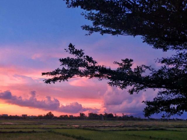 「花颜溪风」那一个人，那一份情缘，每一次想起，思绪千回百转