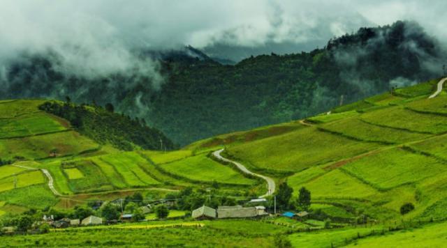 「花颜溪风」那一个人，那一份情缘，每一次想起，思绪千回百转