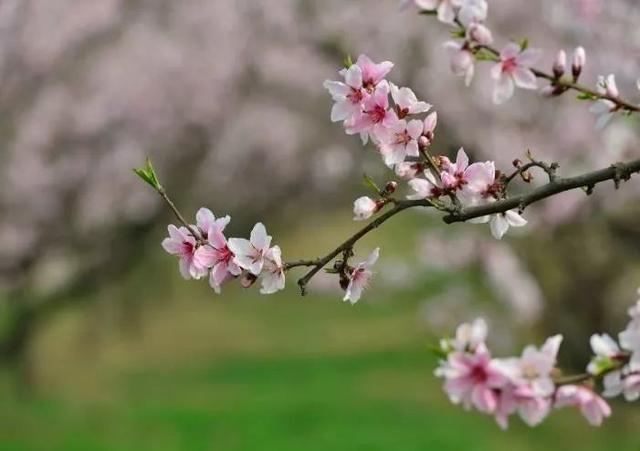 「励志的娱乐」古来万事皆人为，酸甜苦辣皆在心