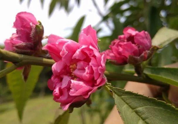 「励志的娱乐」古来万事皆人为，酸甜苦辣皆在心