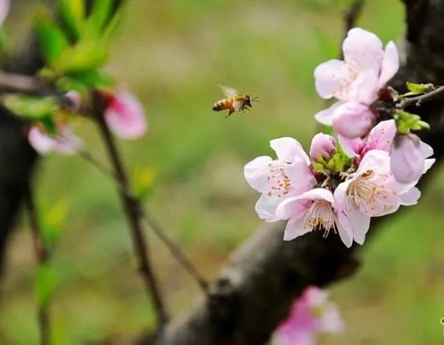「励志的娱乐」古来万事皆人为，酸甜苦辣皆在心