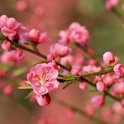 依鱼：与爱无关，寂寞有染
