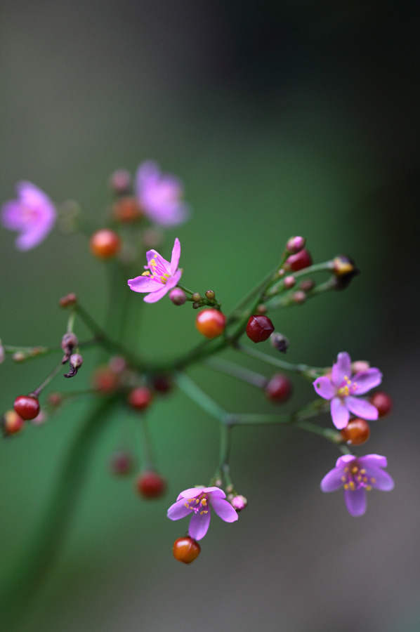 依鱼：与爱无关，寂寞有染