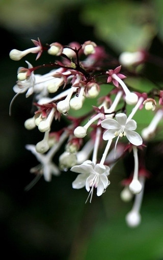 依鱼：与爱无关，寂寞有染