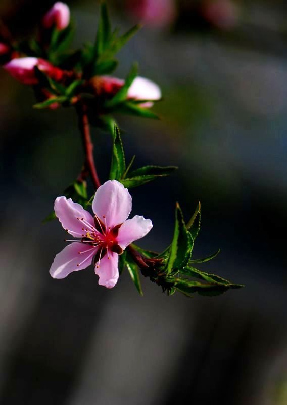 依鱼：与爱无关，寂寞有染