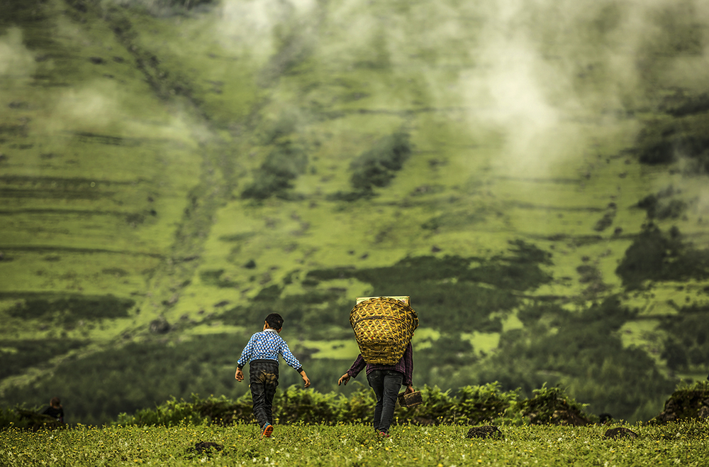 「南国梦宇」心中思绪万千，却无能为力，这个时候你该怎么办？