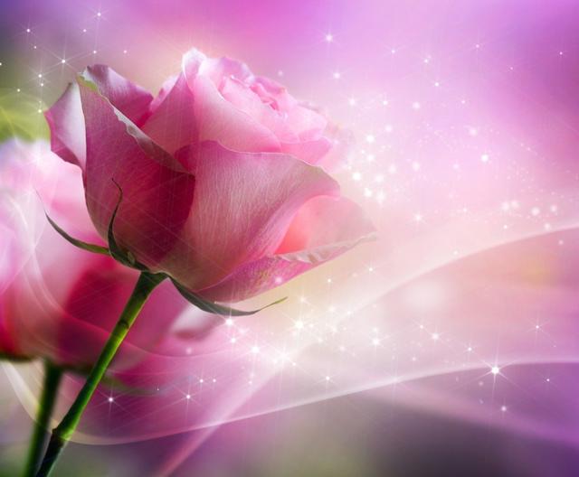 家有贰佰万■蓝颜红颜是知己还是情人？你分的清吗？