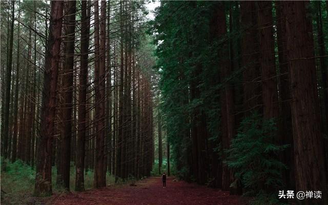 小书仲：人前莫显己能，背后莫论是非