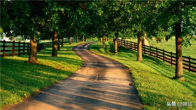 「健身励志训练营」命，是失败者的借口；运，是成功者的谦词