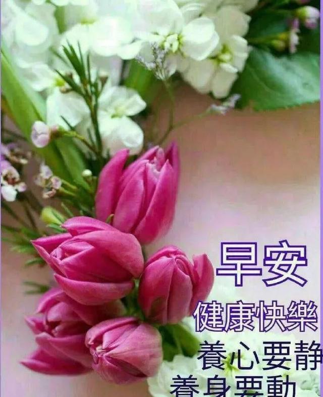 【老蒋书房】朋友圈非常漂亮早上好图片带字 最新早上好动态表情图片大全