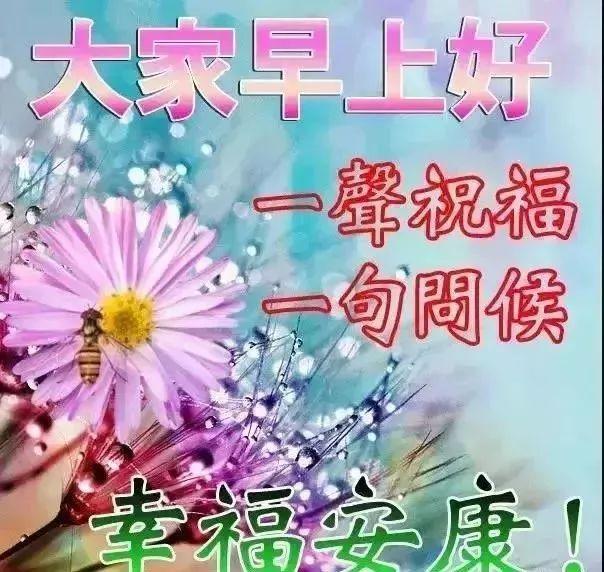 【老蒋书房】朋友圈非常漂亮早上好图片带字 最新早上好动态表情图片大全