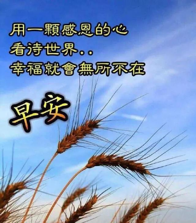 【老蒋书房】朋友圈非常漂亮早上好图片带字 最新早上好动态表情图片大全
