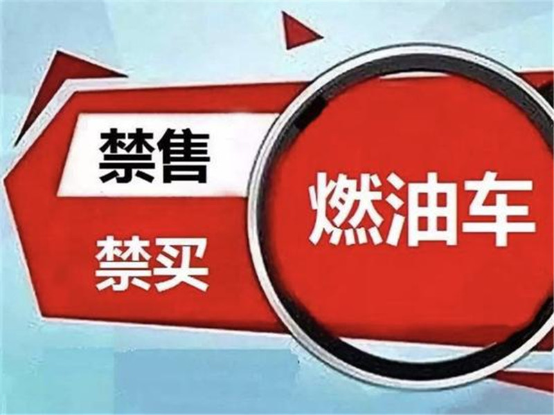 [瑶瑶说车讯]比亚迪燃油车又上市了，为啥王传福还建议禁燃？网友：不打脸难受